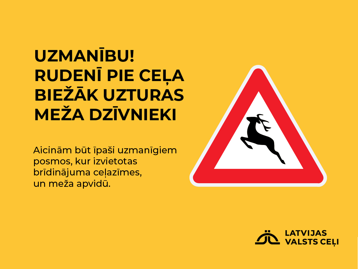 Autovadītāju ievērībai: rudenī dzīvnieki biežāk iznāk uz ceļa ...